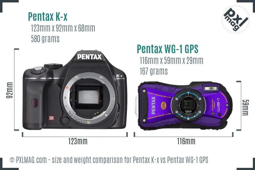 Pentax K-x vs Pentax WG-1 GPS size comparison