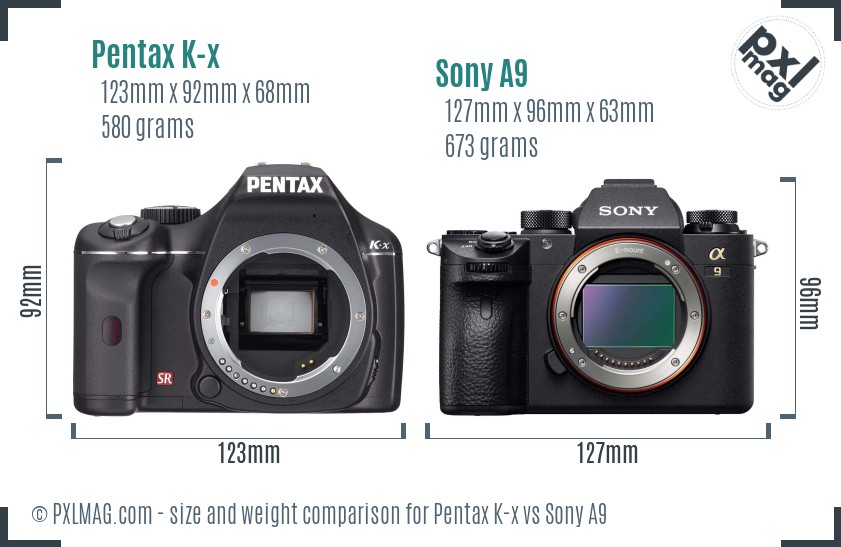 Pentax K-x vs Sony A9 size comparison Pentax K-x vs Sony A9 size comparison