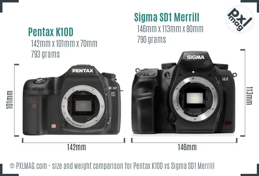 Pentax K10D vs Sigma SD1 Merrill size comparison