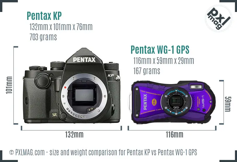 Pentax KP vs Pentax WG-1 GPS size comparison