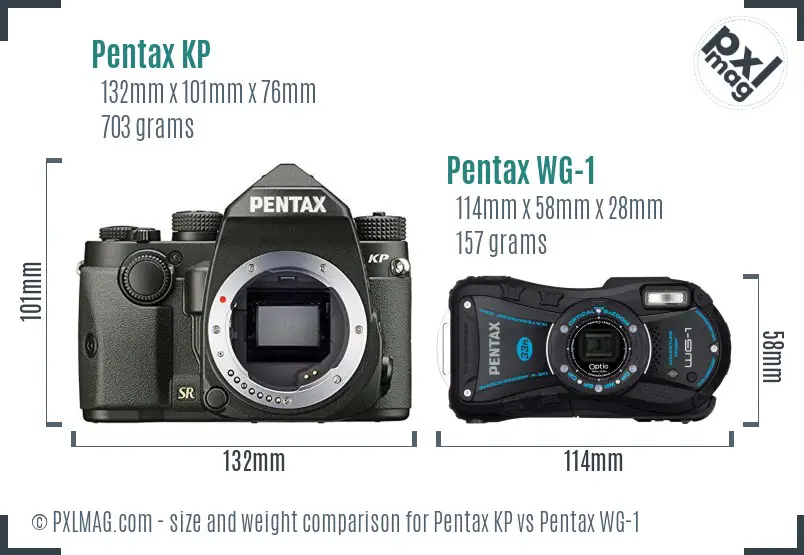 Pentax KP vs Pentax WG-1 size comparison