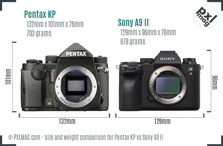 Pentax KP vs Sony A9 II size comparison