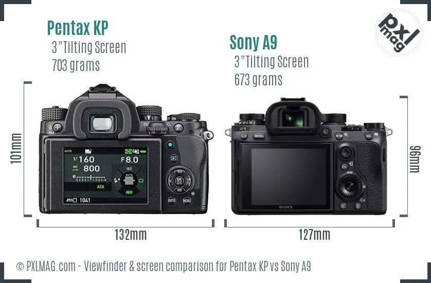 Pentax KP vs Sony A9 Screen and Viewfinder comparison Pentax KP vs Sony A9 Screen and Viewfinder comparison