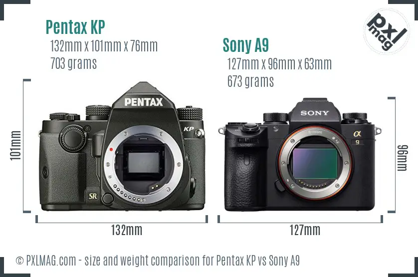 Pentax KP vs Sony A9 size comparison Pentax KP vs Sony A9 size comparison