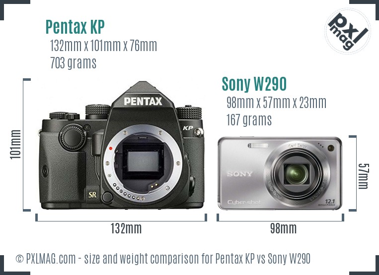 Pentax KP vs Sony W290 size comparison Pentax KP vs Sony W290 size comparison