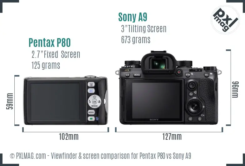 Pentax P80 vs Sony A9 Screen and Viewfinder comparison