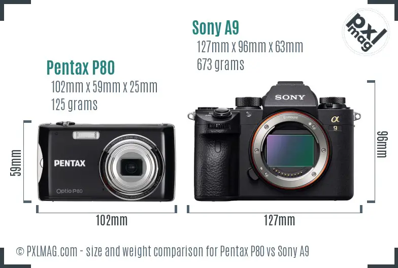 Pentax P80 vs Sony A9 size comparison