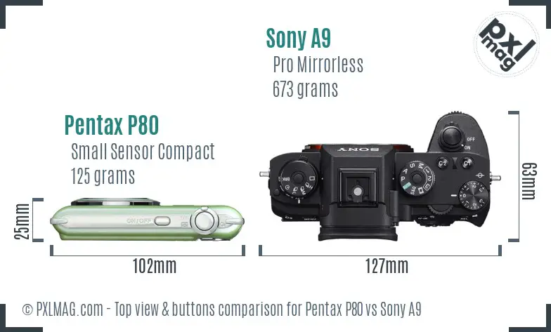 Pentax P80 vs Sony A9 top view buttons comparison