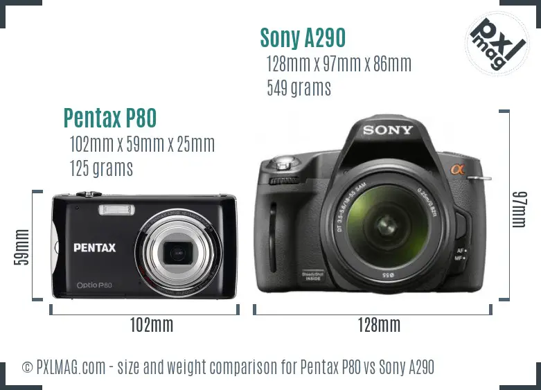 Pentax P80 vs Sony A290 size comparison