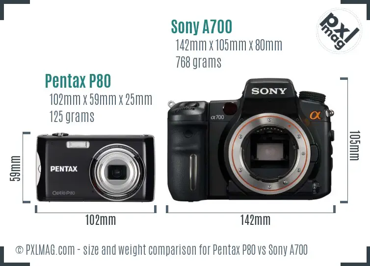 Pentax P80 vs Sony A700 size comparison Pentax P80 vs Sony A700 size comparison