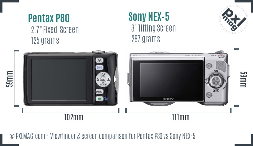Pentax P80 vs Sony NEX-5 Screen and Viewfinder comparison
