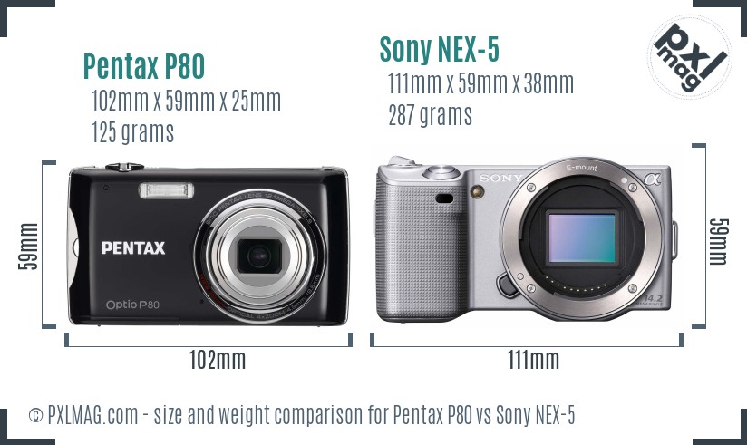 Pentax P80 vs Sony NEX-5 size comparison