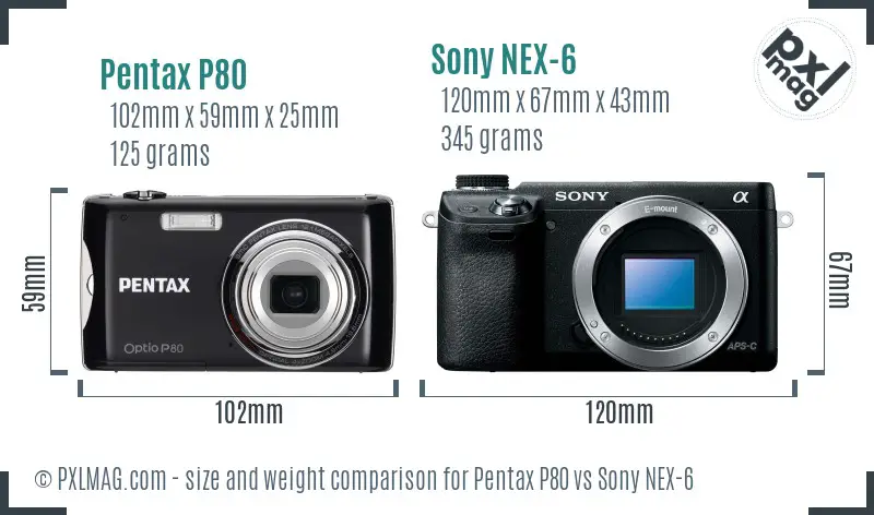 Pentax P80 vs Sony NEX-6 size comparison