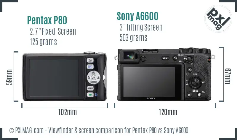 Pentax P80 vs Sony A6600 Screen and Viewfinder comparison