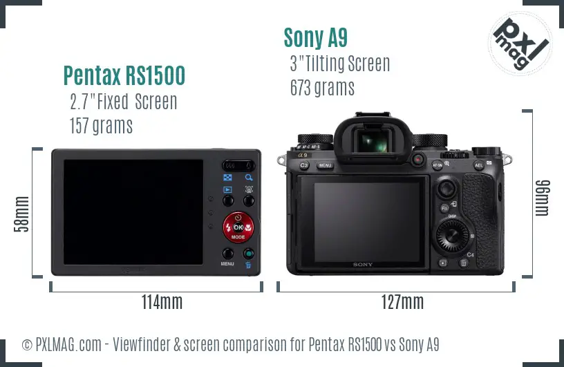 Pentax RS1500 vs Sony A9 Screen and Viewfinder comparison