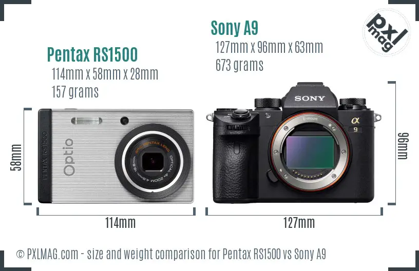 Pentax RS1500 vs Sony A9 size comparison