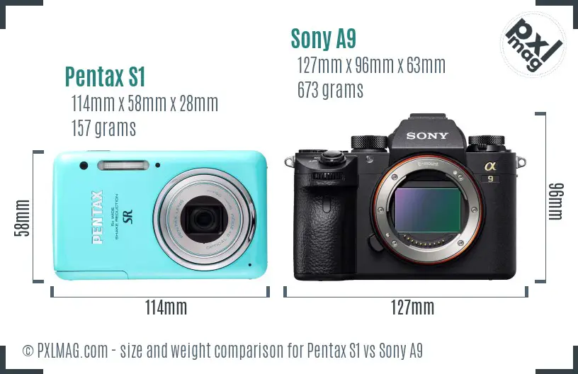 Pentax S1 vs Sony A9 size comparison