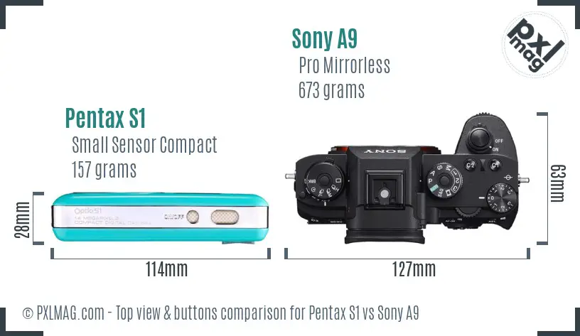 Pentax S1 vs Sony A9 top view buttons comparison