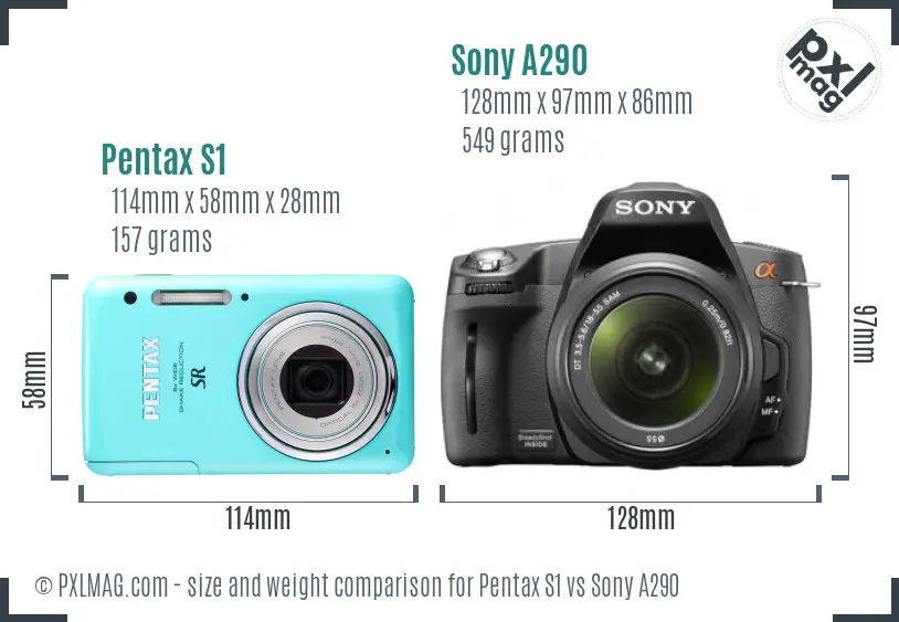 Pentax S1 vs Sony A290 size comparison