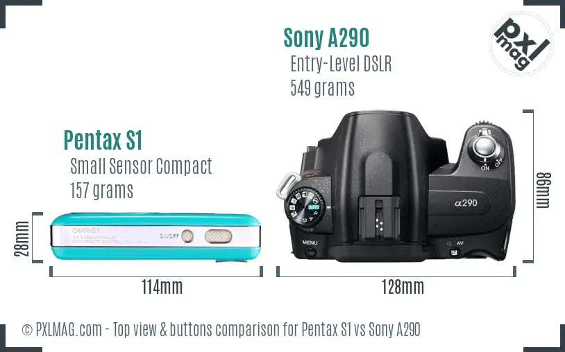 Pentax S1 vs Sony A290 top view buttons comparison