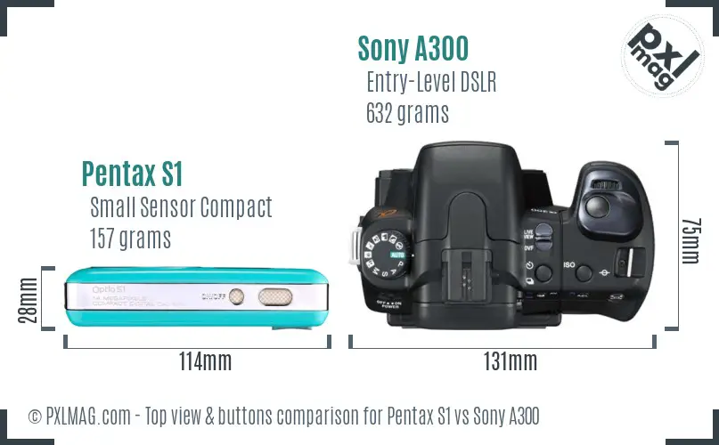 Pentax S1 vs Sony A300 top view buttons comparison