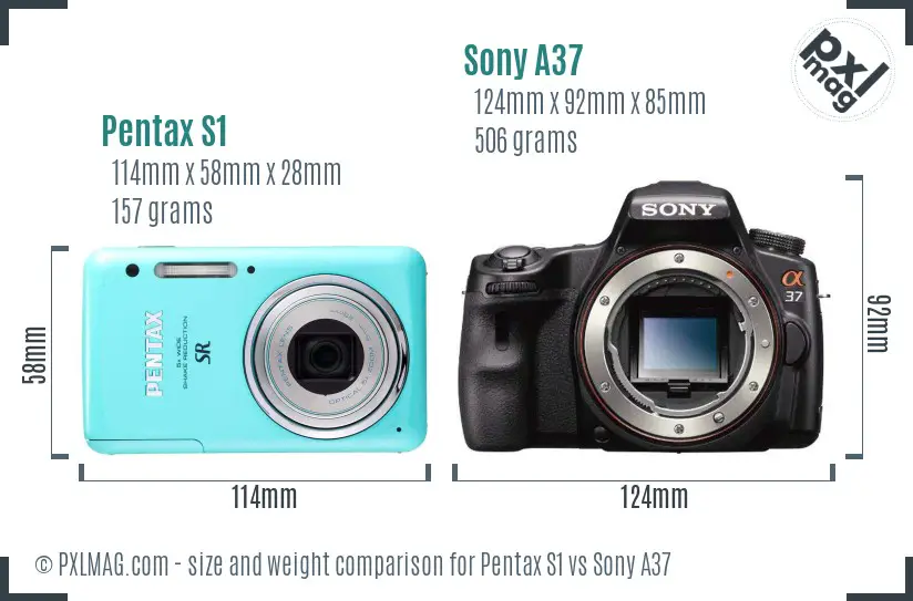 Pentax S1 vs Sony A37 size comparison