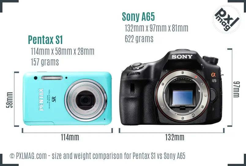Pentax S1 vs Sony A65 size comparison Pentax S1 vs Sony A65 size comparison