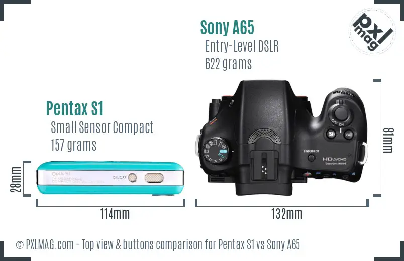 Pentax S1 vs Sony A65 top view buttons comparison Pentax S1 vs Sony A65 top view buttons comparison