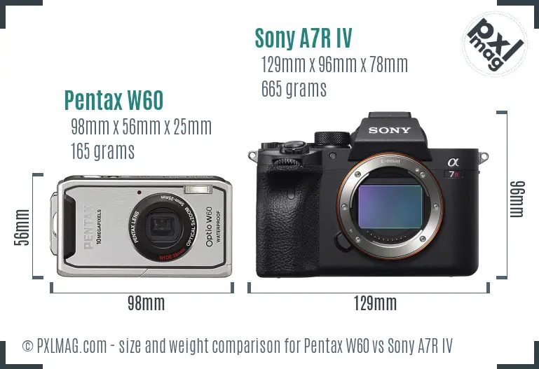 Pentax W60 vs Sony A7R IV size comparison Pentax W60 vs Sony A7R IV size comparison