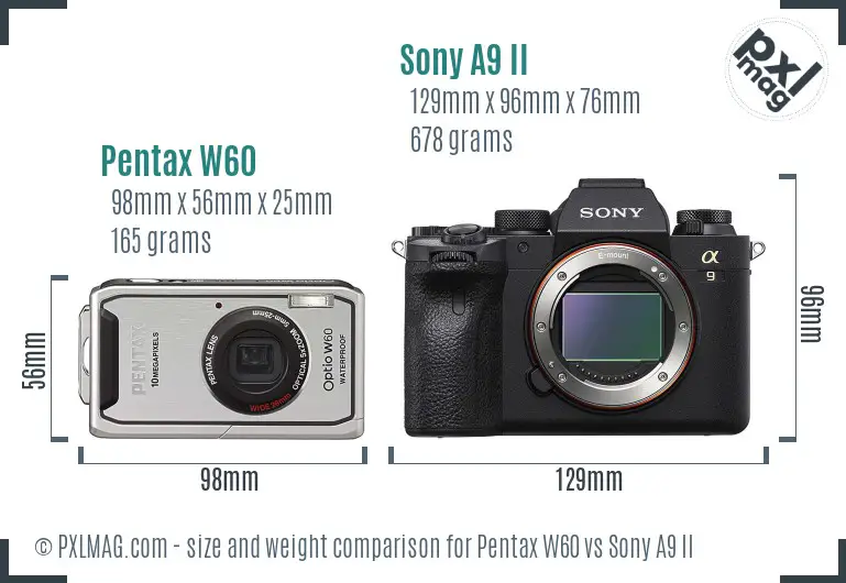 Pentax W60 vs Sony A9 II size comparison