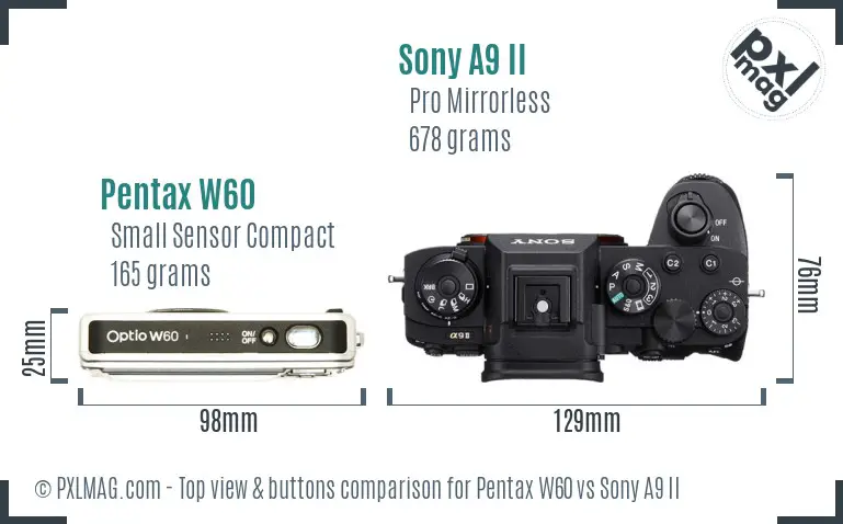 Pentax W60 vs Sony A9 II top view buttons comparison