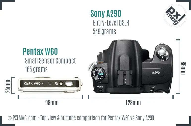 Pentax W60 vs Sony A290 top view buttons comparison Pentax W60 vs Sony A290 top view buttons comparison