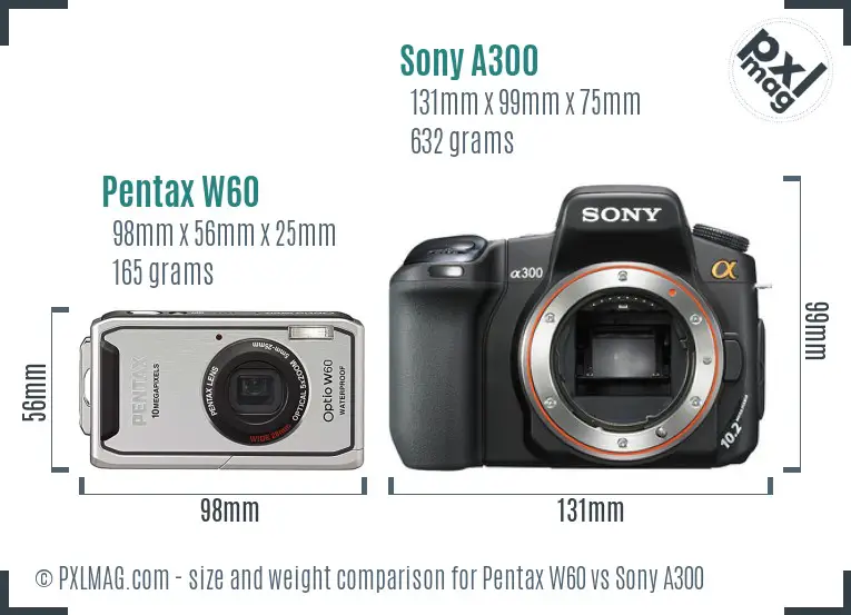 Pentax W60 vs Sony A300 size comparison