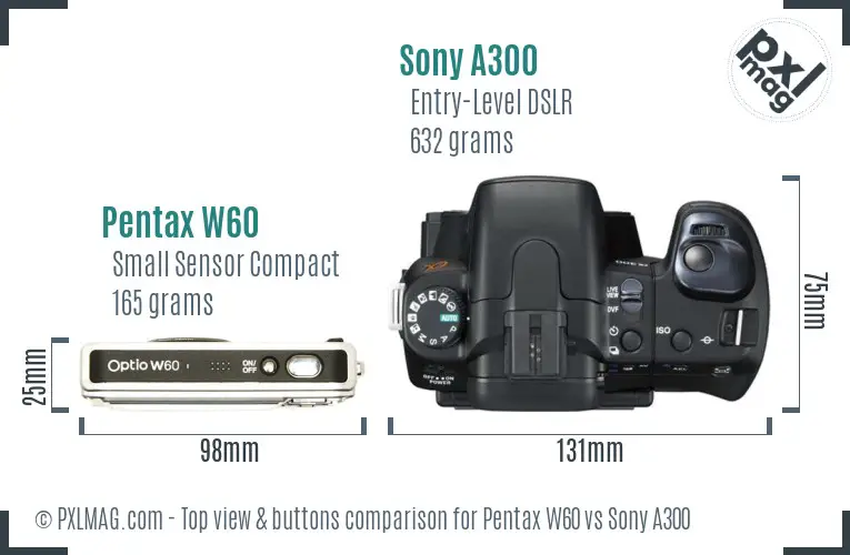 Pentax W60 vs Sony A300 top view buttons comparison