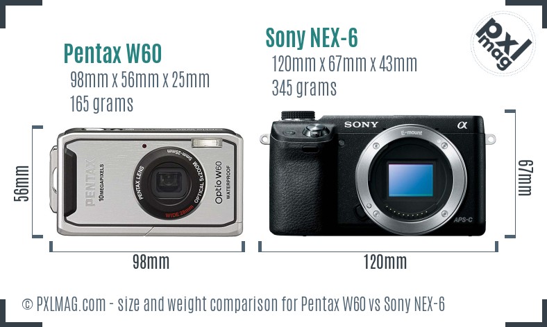 Pentax W60 vs Sony NEX-6 size comparison Pentax W60 vs Sony NEX-6 size comparison