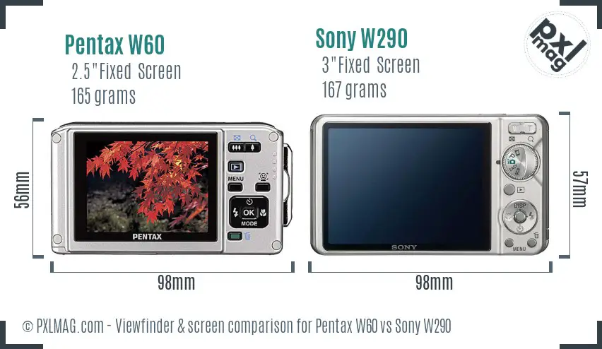 Pentax W60 vs Sony W290 Screen and Viewfinder comparison