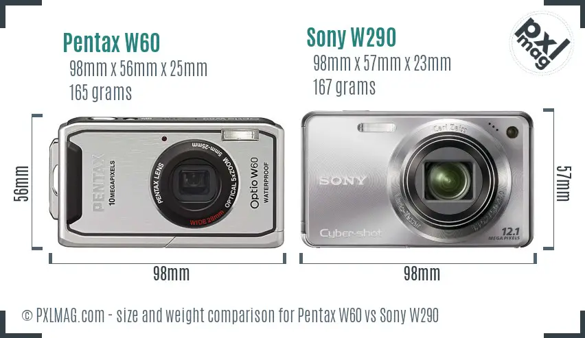 Pentax W60 vs Sony W290 size comparison