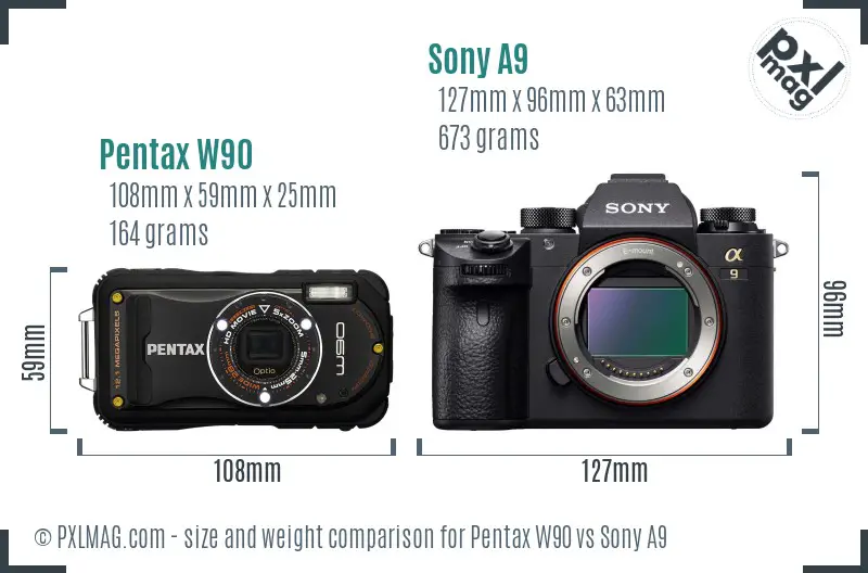 Pentax W90 vs Sony A9 size comparison