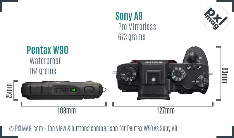 Pentax W90 vs Sony A9 top view buttons comparison