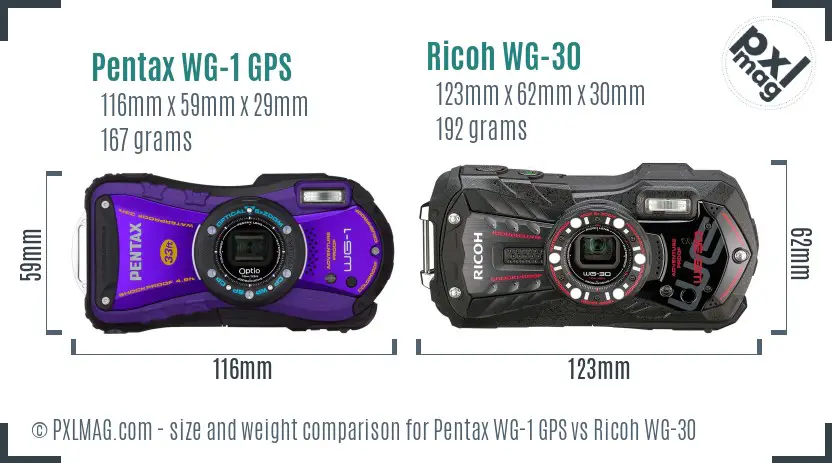Pentax WG-1 GPS vs Ricoh WG-30 size comparison