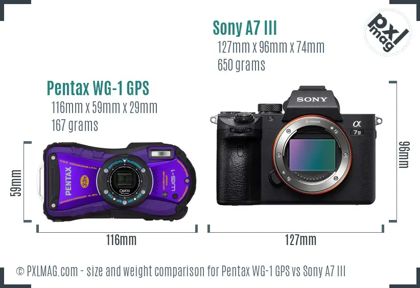 Pentax WG-1 GPS vs Sony A7 III size comparison