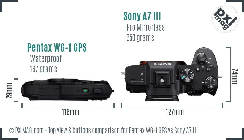 Pentax WG-1 GPS vs Sony A7 III top view buttons comparison