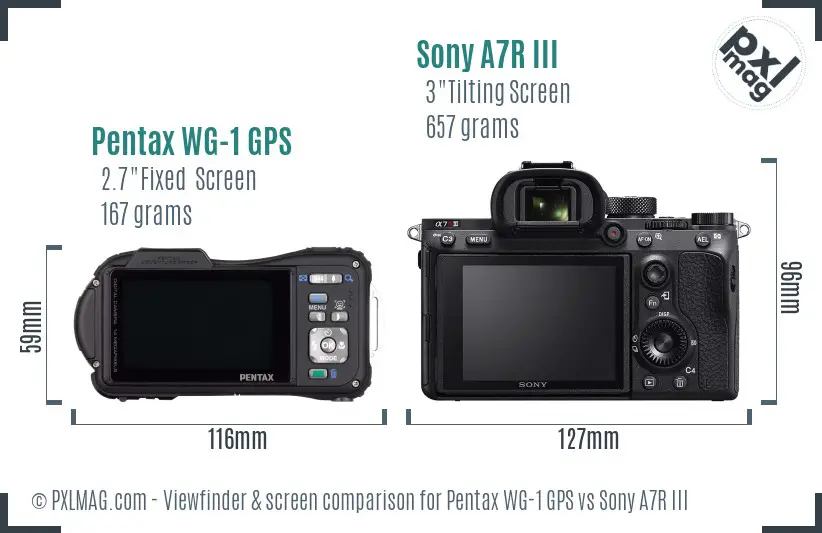 Pentax WG-1 GPS vs Sony A7R III Screen and Viewfinder comparison