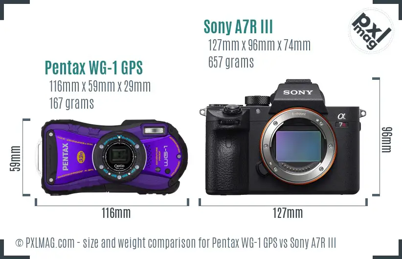 Pentax WG-1 GPS vs Sony A7R III size comparison