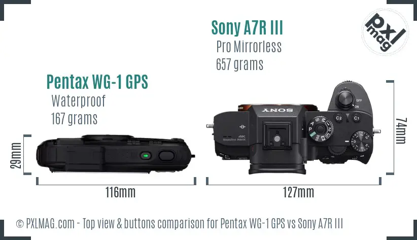 Pentax WG-1 GPS vs Sony A7R III top view buttons comparison