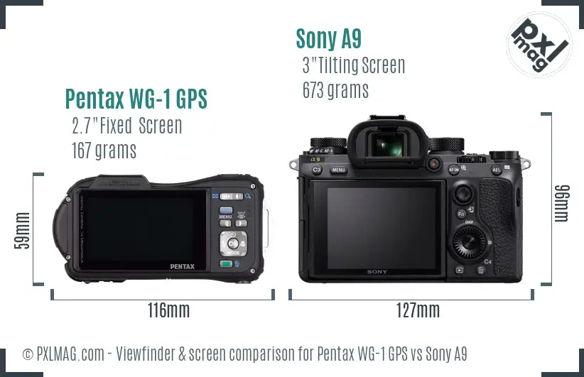 Pentax WG-1 GPS vs Sony A9 Screen and Viewfinder comparison Pentax WG-1 GPS vs Sony A9 Screen and Viewfinder comparison