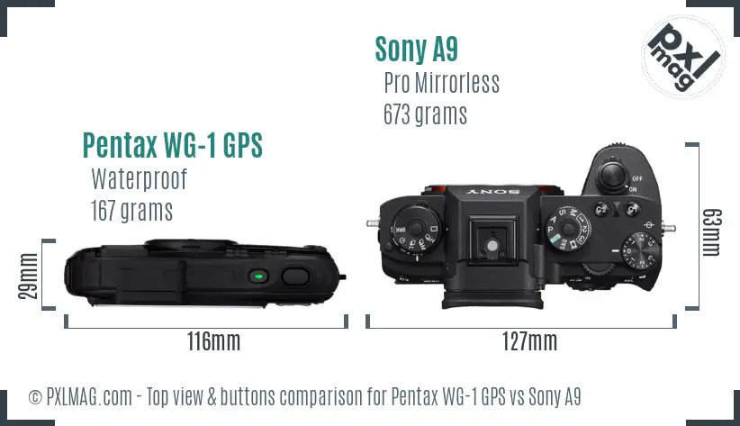 Pentax WG-1 GPS vs Sony A9 top view buttons comparison Pentax WG-1 GPS vs Sony A9 top view buttons comparison