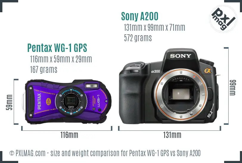 Pentax WG-1 GPS vs Sony A200 size comparison Pentax WG-1 GPS vs Sony A200 size comparison