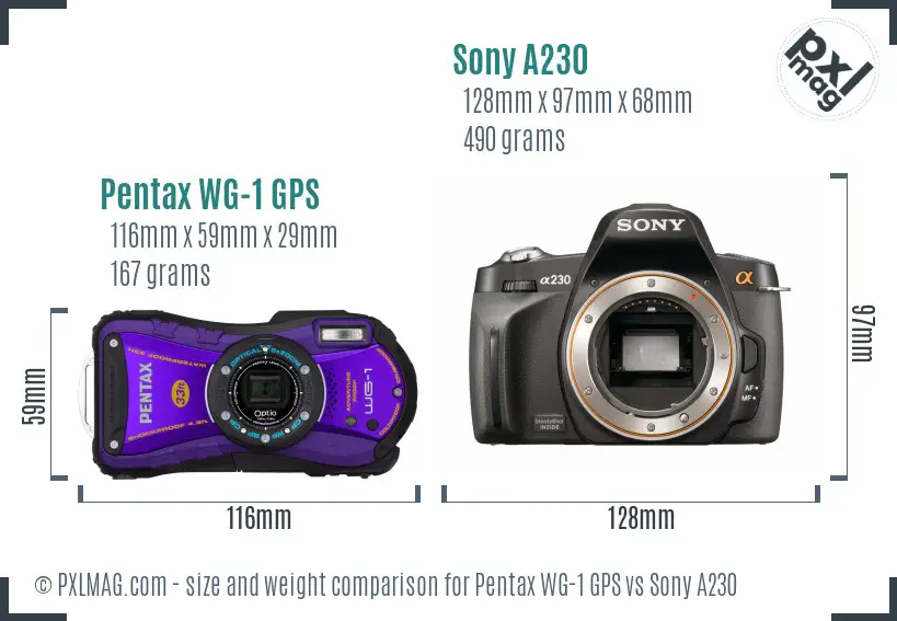 Pentax WG-1 GPS vs Sony A230 size comparison