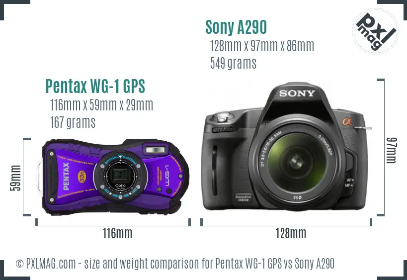 Pentax WG-1 GPS vs Sony A290 size comparison Pentax WG-1 GPS vs Sony A290 size comparison